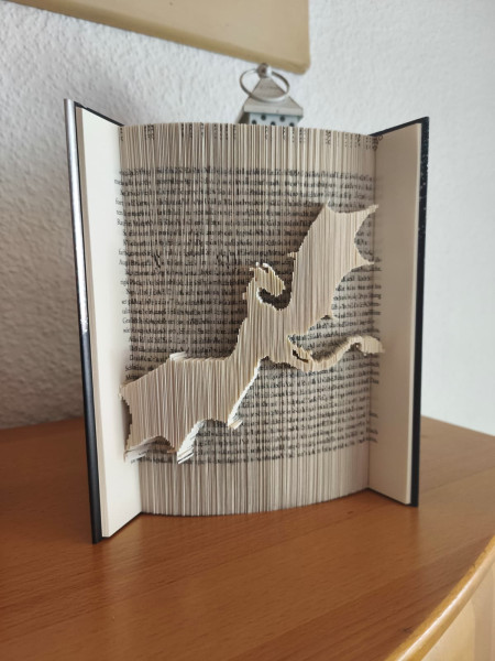 Faltbuch: Fliegender Drache